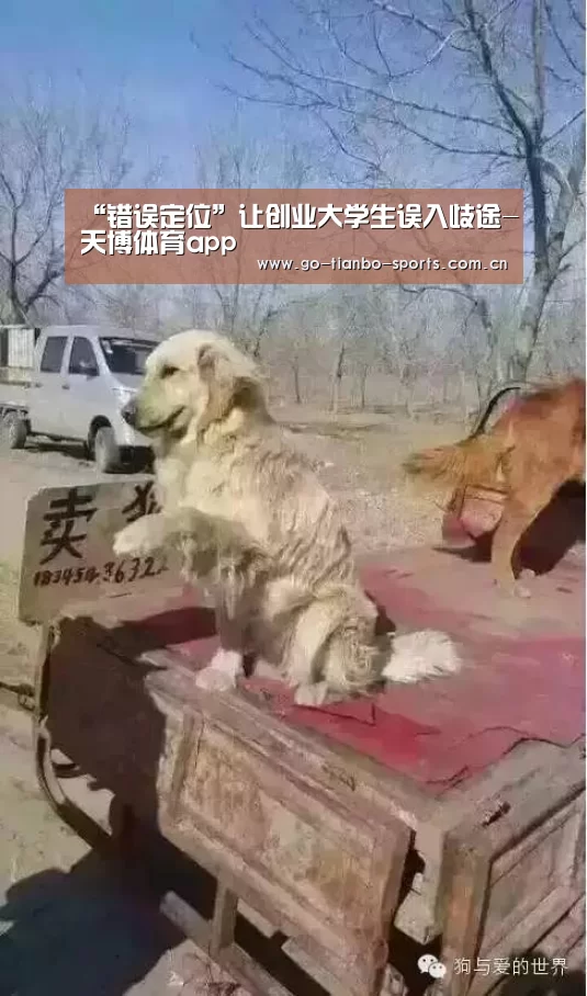 天博体育下载
