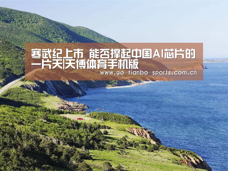 寒武纪上市 能否撑起中国AI芯片的一片天|天博体育手机版(图3) 天博体育手机版