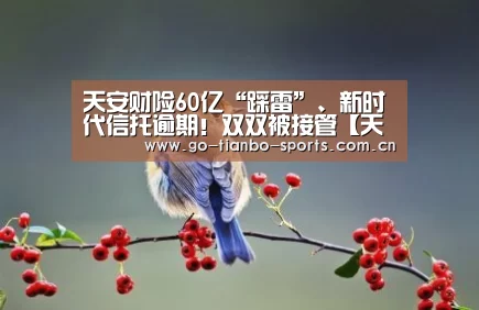 天博体育官网