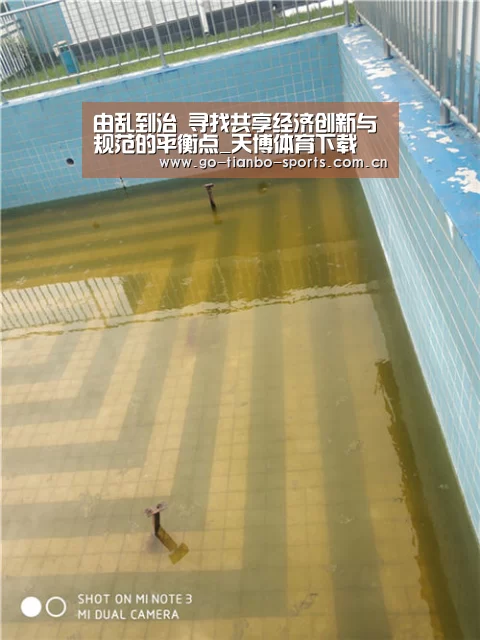 由乱到治 寻找共享经济创新与规范的平衡点_天博体育下载(图2) 天博体育app
