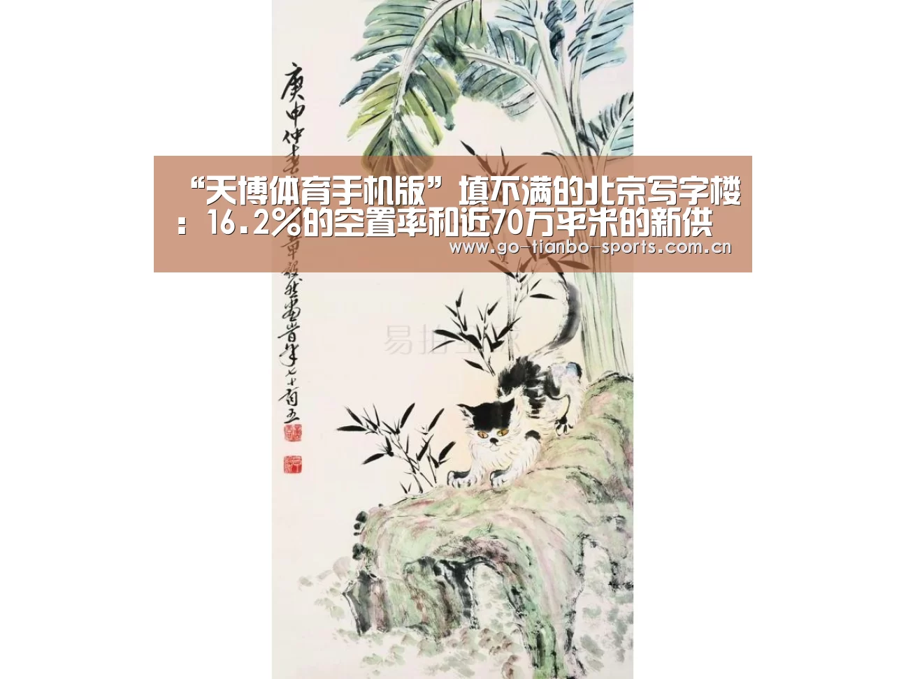 天博体育手机版