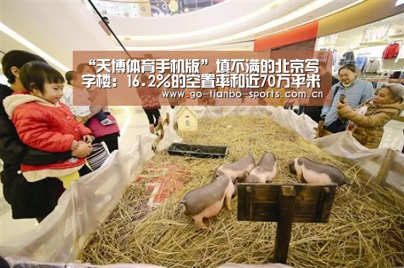 天博体育手机版