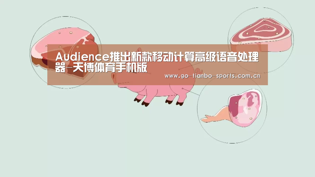 Audience推出新款移动计算高级语音处理器-天博体育手机